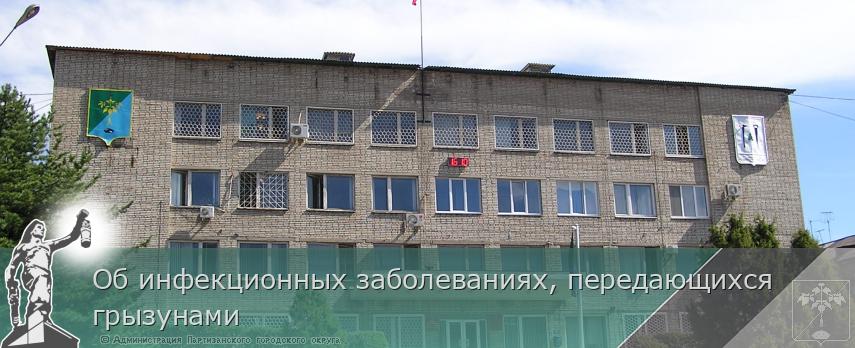 Об инфекционных заболеваниях, передающихся грызунами | Администрация муниципального округа город Партизанск Приморского края Официальный сайт